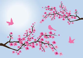 sakura branches with birds