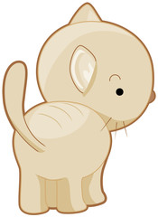 Cute Cat