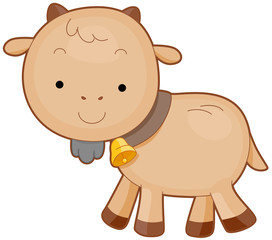 Cute Goat