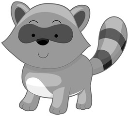 Cute Raccoon