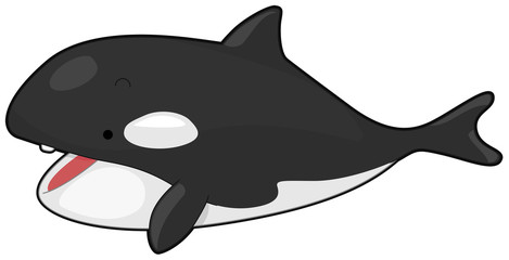 Fototapeta premium Killer Whale