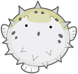 Puffer Fish