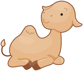 Camel
