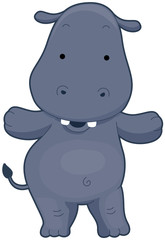 Cute Hippo