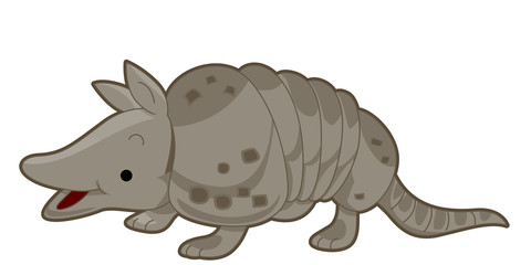 Armadillo
