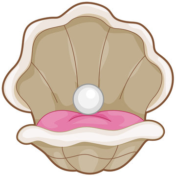 recommend clip art: Clam