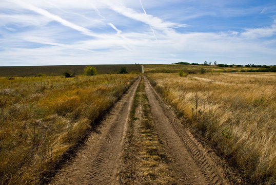 A dirt road among fields and meadows