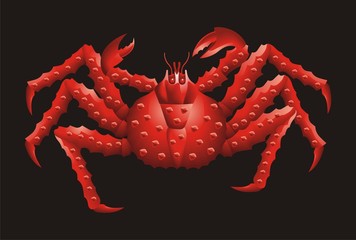 Far Eastern Crab vector