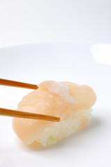 sushi(scallop)