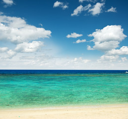 Fototapeta premium tropical beach
