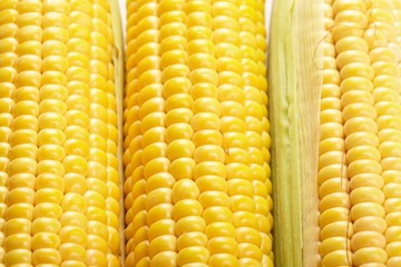 Fresh corn vegetable