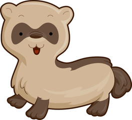 Cute Ferret