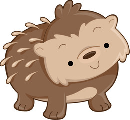 Obraz na płótnie Canvas Cute Hedgehog