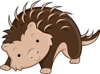 Cute Porcupine