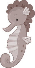 Cute Seahorse