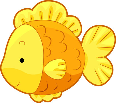 Cute Gold Fish