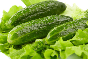 cucumbers and lettuce on the white background
