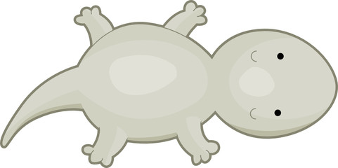 Cute House Lizard