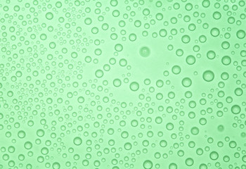 Abstract green background with many water bubbles.