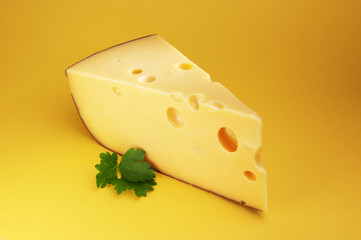 cheese with parsley on the yellow background