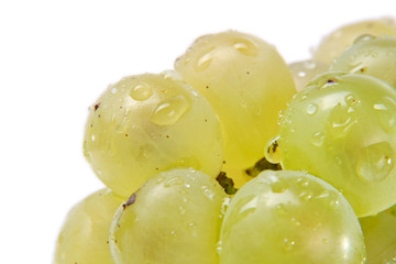Ripe, green grapes