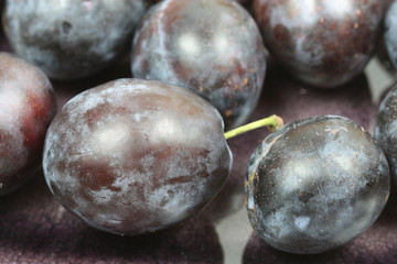 Closeup of plums