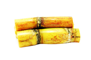 Sugarcane