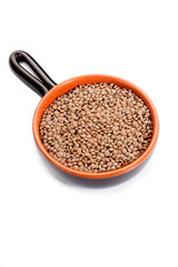 raw lentils- lenticchie crude