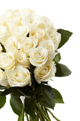 Cream roses