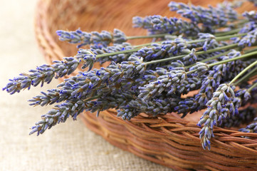 Buhch of lavander in basket