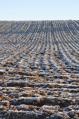 Plowed fields