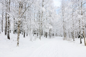 Fototapeta premium Winter footpaths