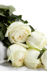 white roses