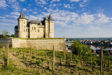 Fototapeta na wymiar Chateau de Saumur, Pays-de-la-Loire, France
