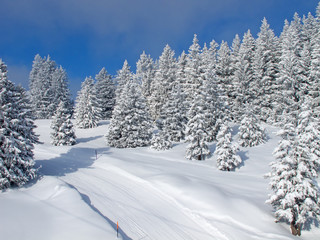 Winter in the alps