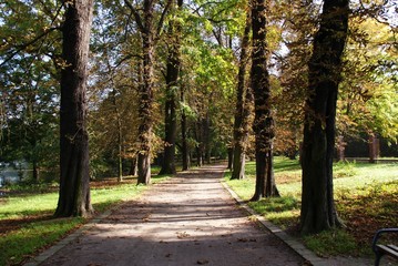 Waldweg