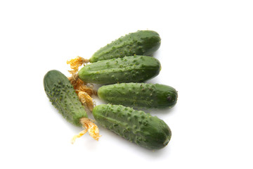 Cornichons