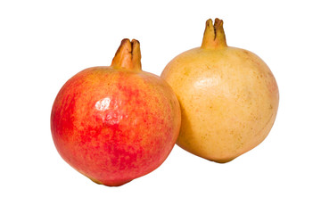 Pomegranate