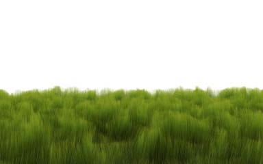 Obraz na płótnie Canvas meadow