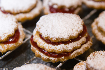 Weihnachts-Plätzchen