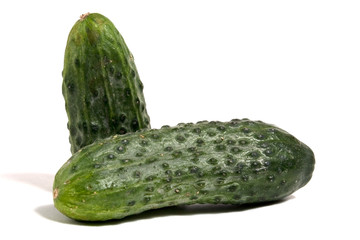 cucumber