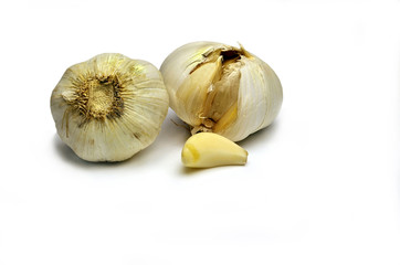 Knoblauch  #101002-009