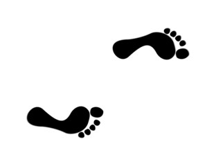 Foot prints vector
