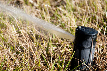 Lawn Sprinkler