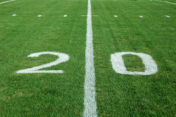 20 Yard Line - Natural Grass