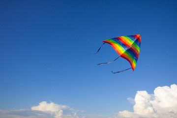 Kite in sky