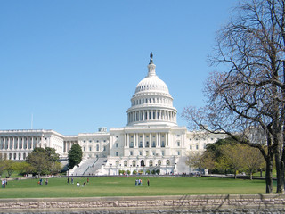 Washington Capitol building central part 2010