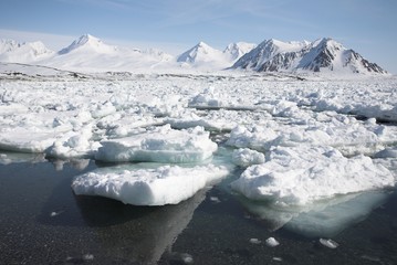 Frozen Arctic fjord