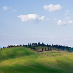 Fototapeta na wymiar Tuscana landscape
