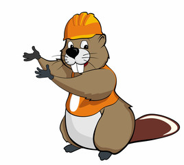 beaver show (orange) © Vasca